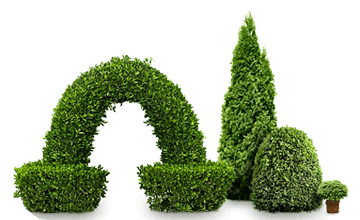 Благоустройство